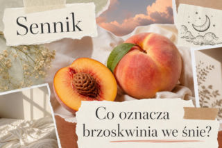 Brzoskwinia we śnie - co oznacza? Znaczenie snu i interpretacja