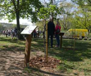 Sad edukacyjny na Antoniuku oficjalnie otwarty. Miasto rozdało tysiąc drzewek owocowych [ZDJĘCIA, AUDIO]