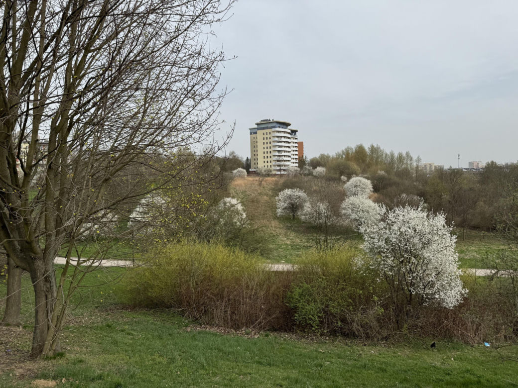 Wiosna w Lublinie rozkwitła kolorami! 