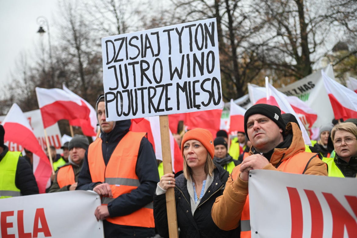 Protest plantatorów tytoniu w Warszawie (3.11.2025)