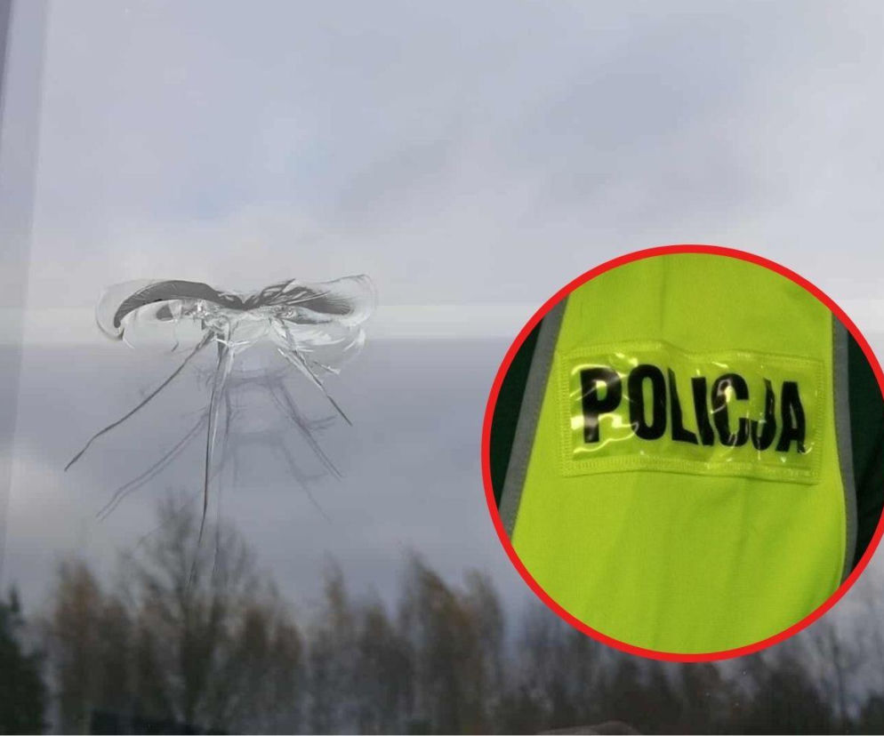Ktoś strzelał w okna mieszkania Ukrainki! Lokatorka ze Zgierza nagle usłyszała huk