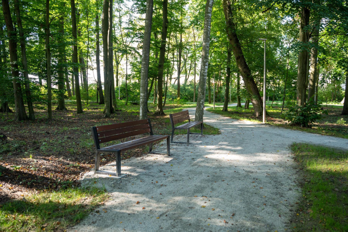 Zabytkowy park pod Lubawą zmienił się nie do poznania. Teraz wygląda jak z bajki