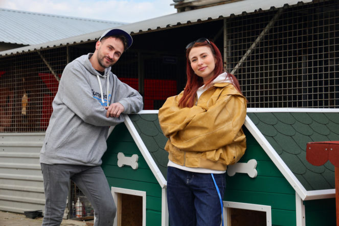 222 budy i setki zaangażowanych osób - wspólna akcja Castorama Polska i Fundacji Team Litewka dla bezdomnych zwierząt