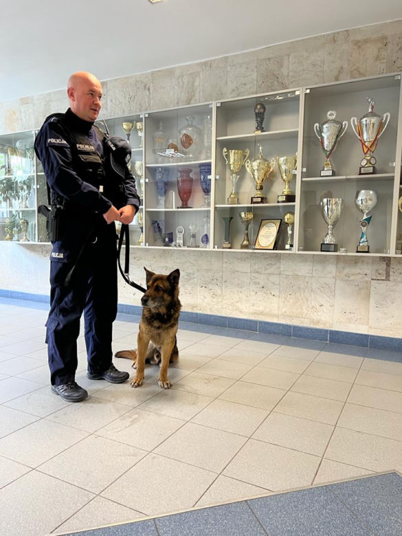 Psiak Marko przechodzi na emeryturę. Za nim 10 lat ciężkiej służby w toruńskiej policji
