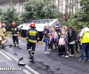 Autobus pełen dzieci wyleciał z szosy