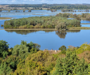 Inn Vivo - ekologiczny dom koło Szczecina