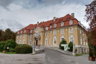 W tej wsi w woj. śląskim znajduje się jeden z najpiękniejszych pałaców. W PRL-u przekształcono go w sanatorium