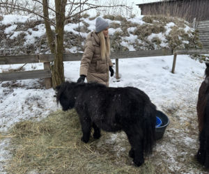 Joanna Krupa odwiedza schronisko dla zwierząt