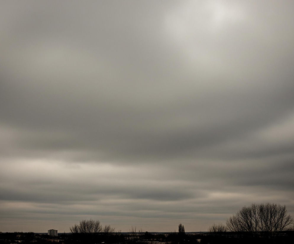 Górne dwie trzecie kadru wypełnia zachmurzone niebo w odcieniach szarości, z jaśniejszym, rozproszonym światłem w prawym górnym rogu. Poniżej rozciąga się ciemny, niemal czarny horyzont, z zarysami drzew pozbawionych liści oraz kilkoma odległymi budynkami widocznymi w oddali. Dominują stonowane barwy, tworząc posępny i spokojny krajobraz.