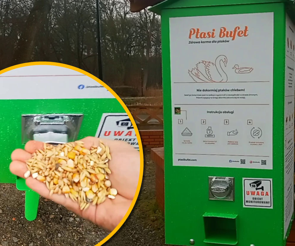 Radni chcą więcej kaczkomatów w Szczecinie. Padły konkretne lokalizacje
