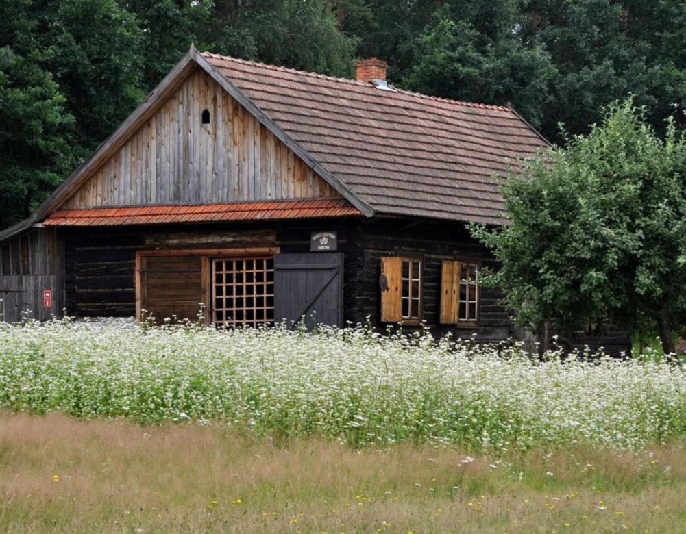 Muzeum Kultury Ludowej w Kolbuszowej - tu kręcono sceny do serialu "1670"