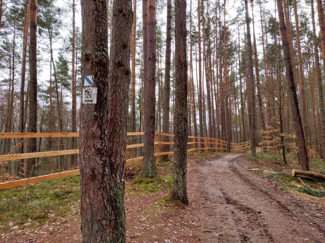 Stawy Echo. Roztoczański Park Narodowy