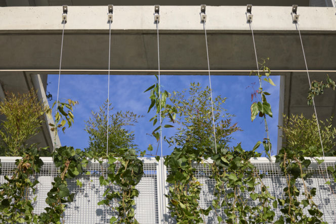 Wioska olimpijska proj. SOM