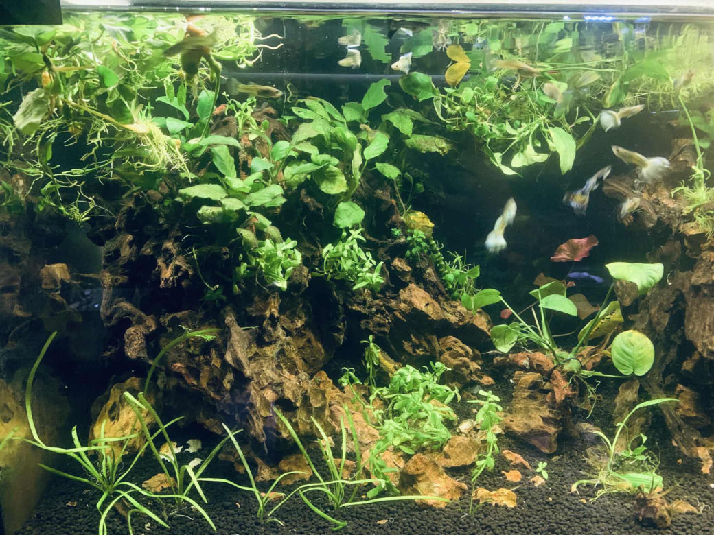 Rozmawiamy z Tomaszem Wiśniewskim, założycielem Aqua Dreams Bydgoszcz