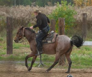 Daniel Olbrychski pachniał koniem i potem