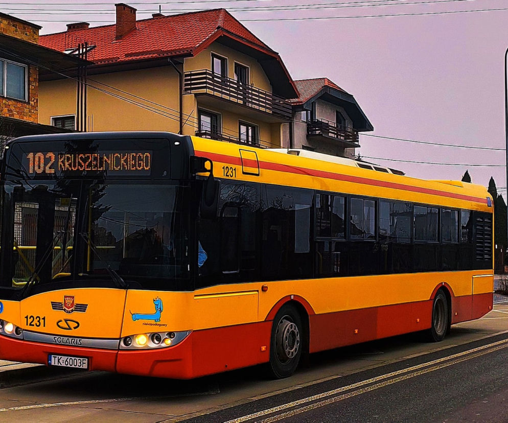 Autobus Kielce
