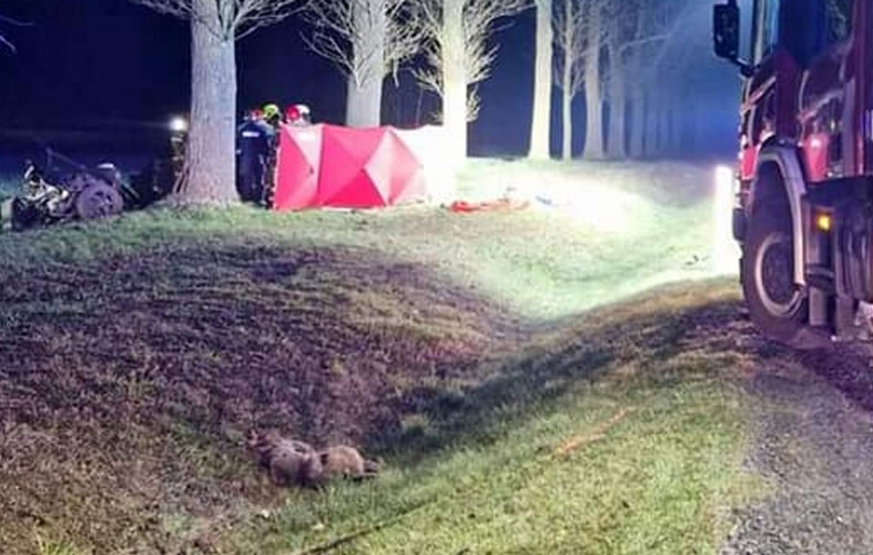 Śmiertelny wypadek pod Skwierzyną! BMW rozpadło się na części po zderzeniu z sarną [ZDJĘCIA]