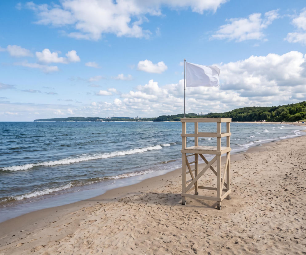 Sinice Gdynia. Czy w Gdyni można się kąpać 10.08? Flaga, warunki pogodowe