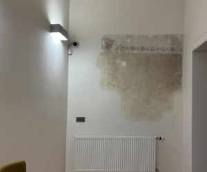 Willa Löw-Beer w Brnie