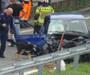Pijani kierowcy terroryzują warszawskie ulice