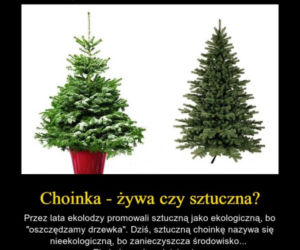 Choinka memy
