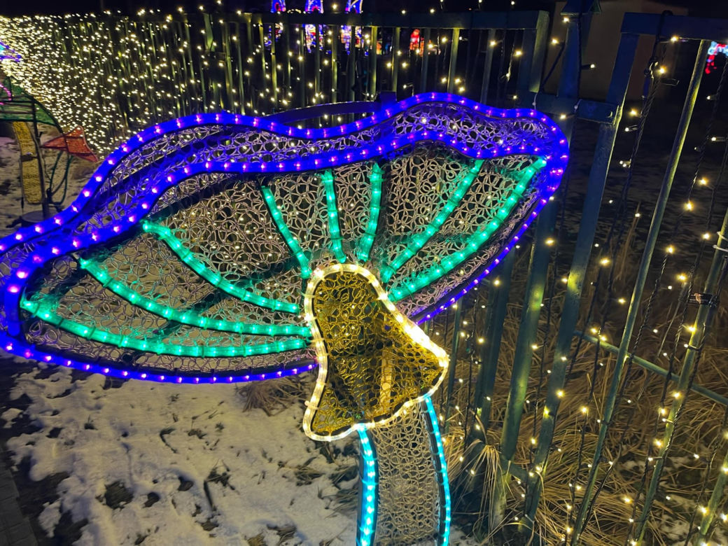 Garden of Lights w Szczecinie