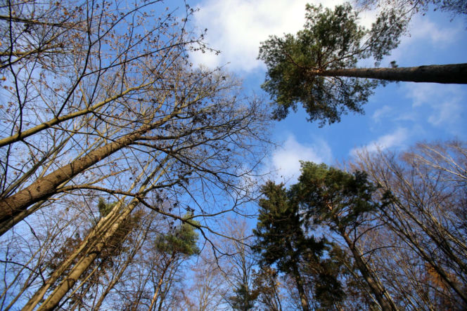 Rezerwat Segiet udostępni nowe szlaki dla mieszkańców