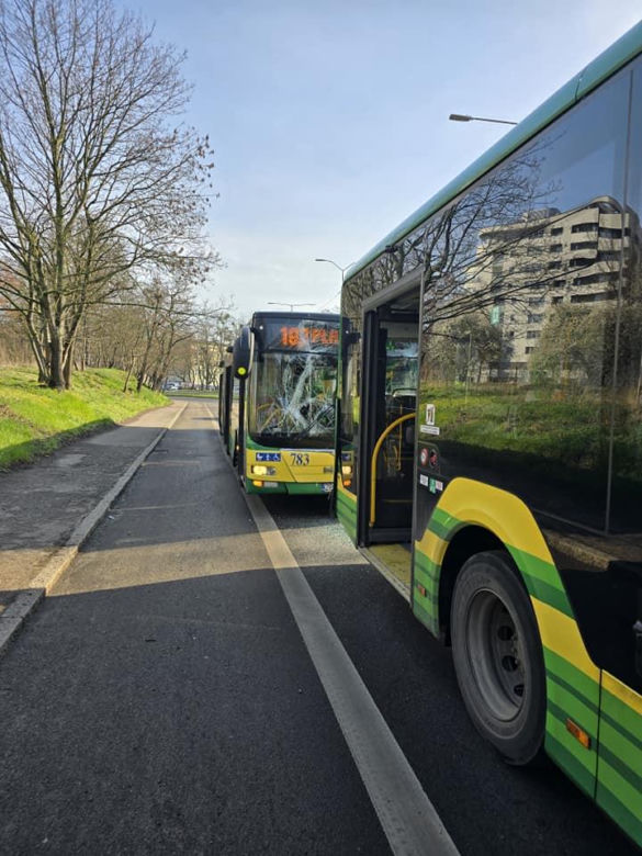 Zderzenie autobusów w Szczecinie 