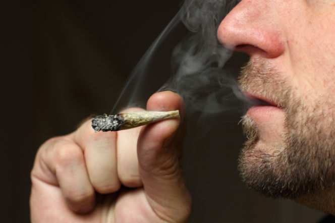 Marihuana i jej wpływ na zdrowie. Jak THC zawarty w marihuanie wpływa na mózg?