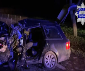 Czołowe zderzenie audi z autobusem. Tragiczny wypadek na drodze pod Lublinem