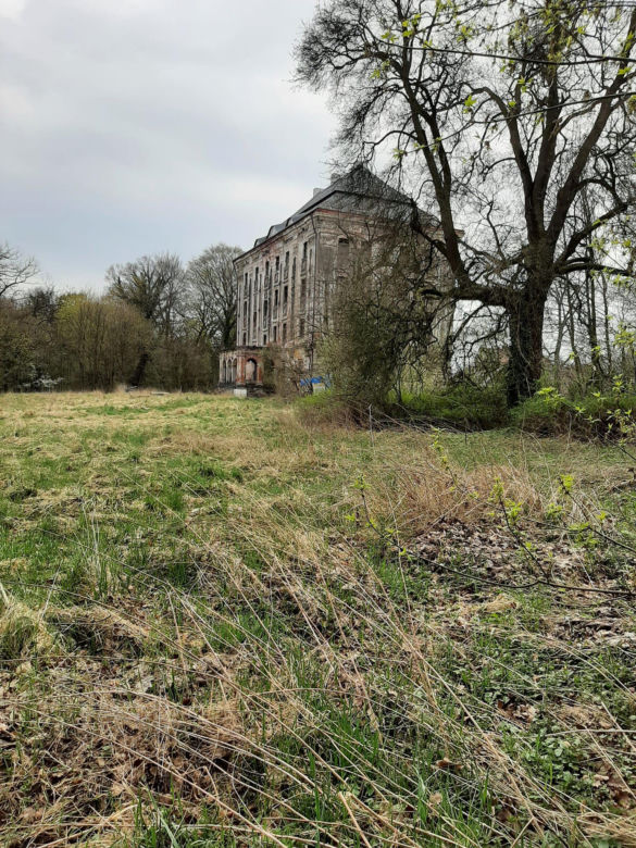 Tajemniczy Pałac w Piotrkowicach. Perła architektury baroku wygląda jak wieżowiec