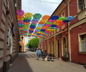 Leszno znów zdobią parasolki. Mienią się nad ul. Wróblewskiego kolorami tęczy
