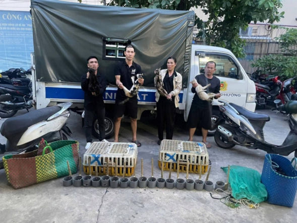 Ukradli 400 kotów, by zrobić z nich mięso! Policja rozbiła gang porywaczy