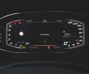 Cupra Ateca 2.0 TSI 300 KM 4Drive DSG7