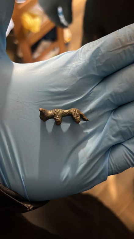 Miał w domu konika z brązu z epoki żelaza, nagolennik wojownika, zabytkowe monety. Sam wszystko znalazł pod ziemią i skrzętnie ukrył