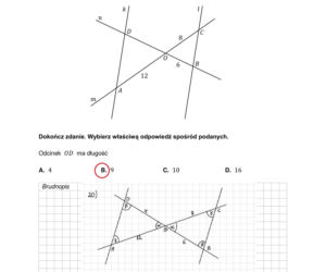 Matura 2026 matematyka: Arkusze CKE i odpowiedzi - sprawdź, czy zdałeś!