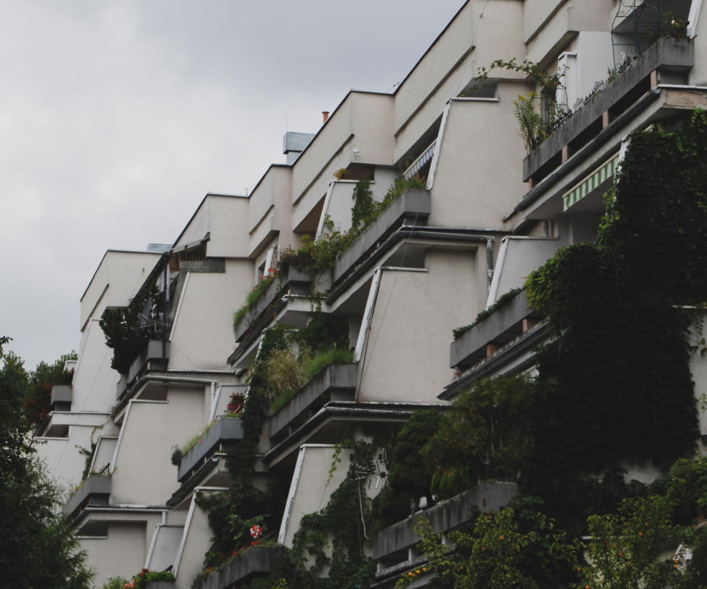 Kaskadowy blok mieszkalny o jasnych elewacjach z licznymi zielonymi tarasami i pnączami porastającymi ściany. Tarasowiec z osiedla Widok w Krakowie, projekt architekta Krzysztofa Bienia, jest przykładem ciekawej architektury PRL-u, o której możesz przeczytać na Architektura Murator Plus.