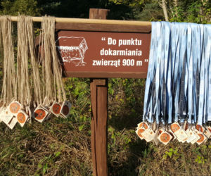ParkRun Grudziądz świętuje 2 urodziny
