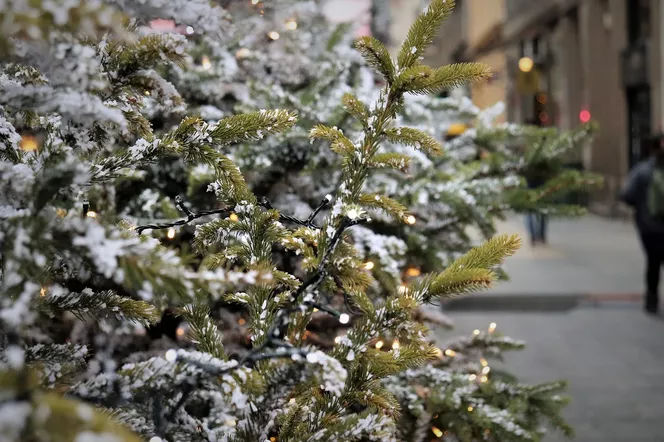 Bydgoszcz się stroi na święta