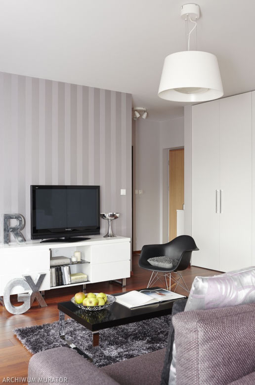 salon z kuchnią zdjęcia