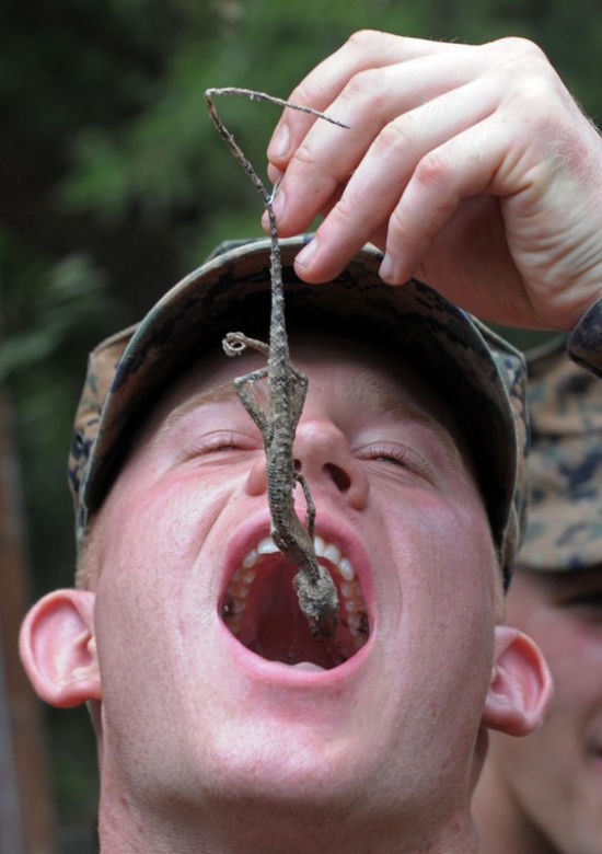 Tak się szkoli żołnierzy marines 