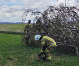 Interwencje Strażaków przy likwidacji szkód spowodowanych przez gwałtowny wiatr i burze