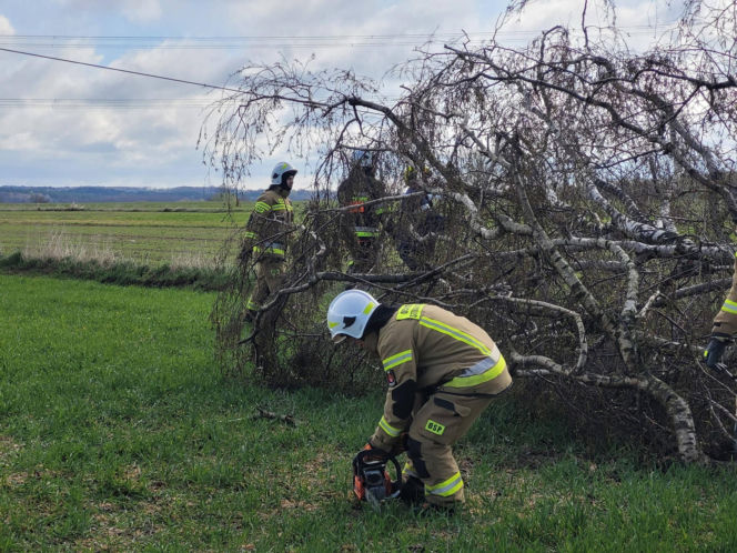 Interwencje Strażaków przy likwidacji szkód spowodowanych przez gwałtowny wiatr i burze