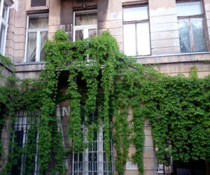 5. Takie miejsca kryją się w łódzkich bramach