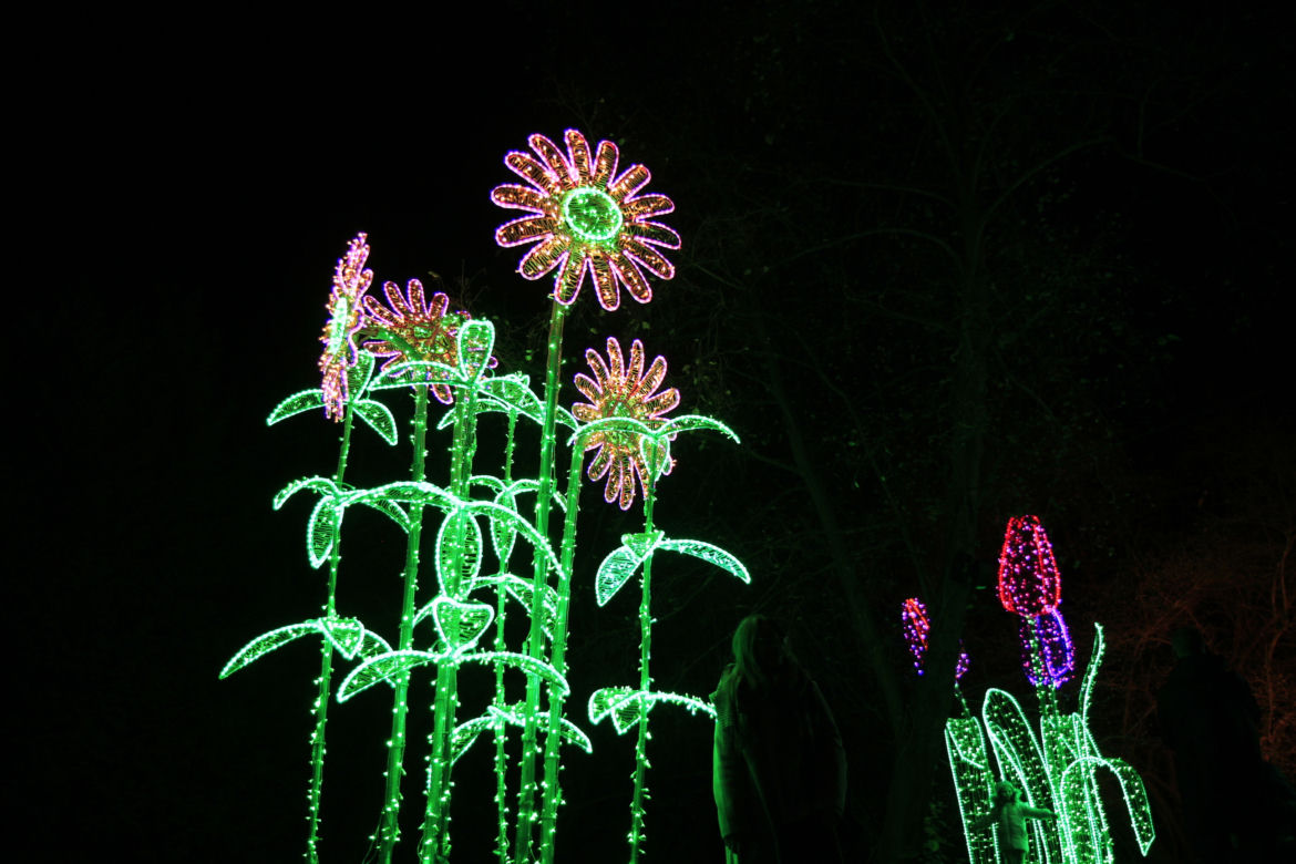 Park iluminacji „Tajemniczy Ogród” w Lublinie