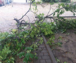 Bydgoszcz po nawałnicy