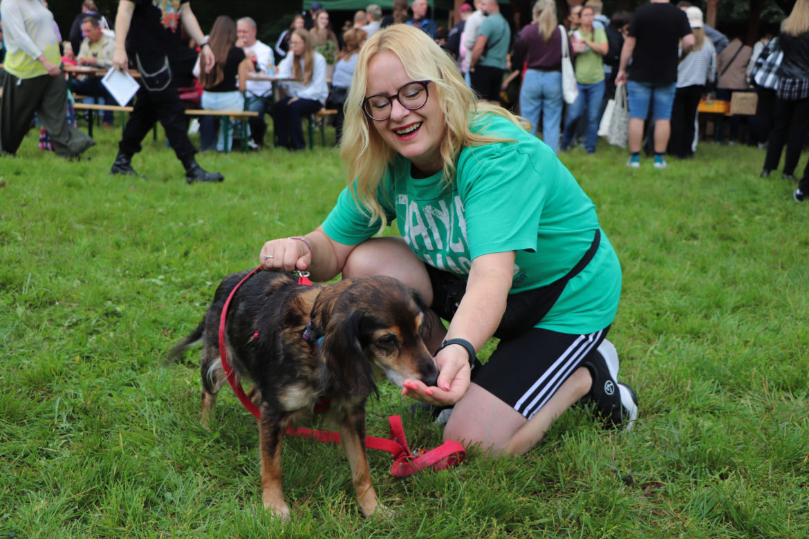XIII Piknik Przyjaciół Schroniska w Toruniu. Fotorelacja z imprezy