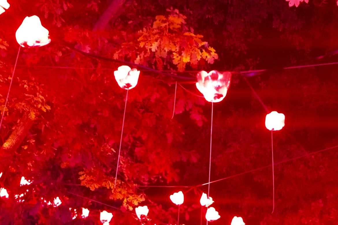 Garden of Lights w Szczecinie