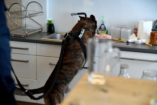 Policja rozbiła grupę handlującą narkotykami. Zatrzymano 12 osób