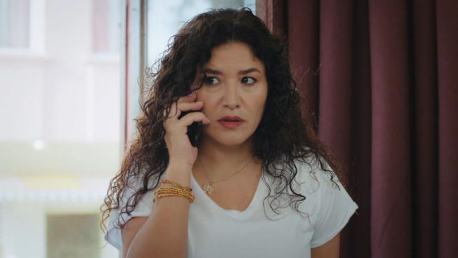 Dziedzictwo, odc. 879. Cansel